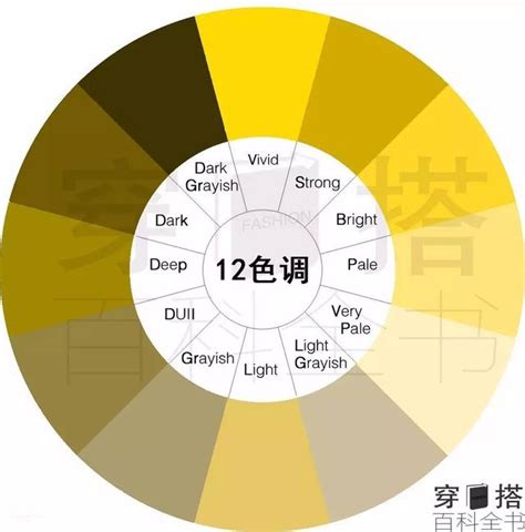 黃色是什麼色調